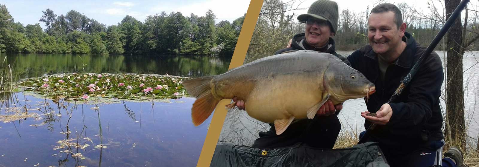 Etang de Heron